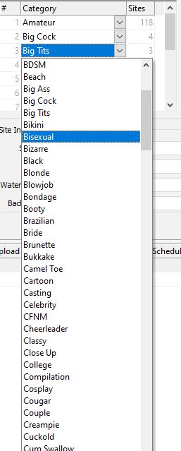 Categories in Tube Sites Submitter