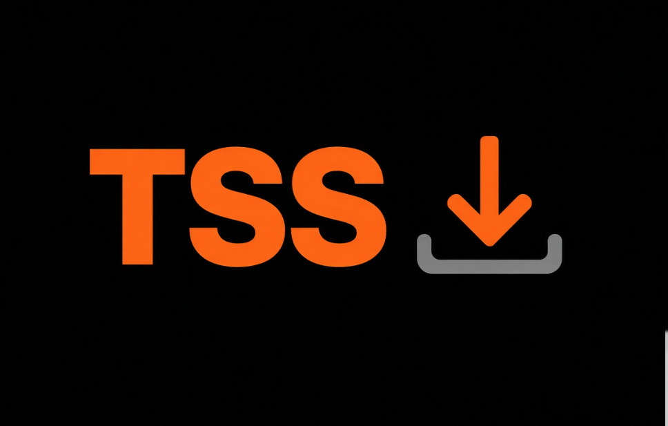 TSS update